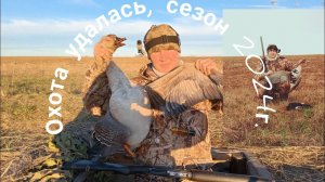 Охота на гуся в Марий Эл 2024г, посадил большую стаю к чучелам.
