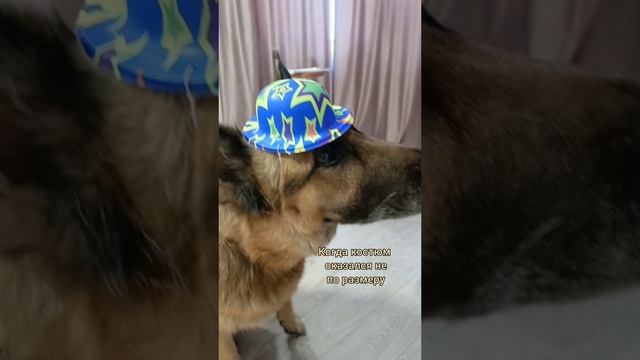 Руки от смеха трясутся смотреть онлайн