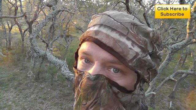 White Tail Buck Hunt with Compound Bow смотреть онлайн