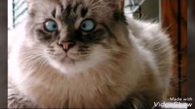 Предложение