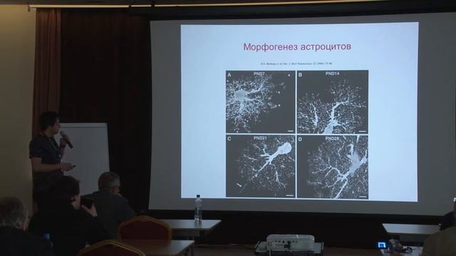 Алгоритмы создания реалистичных сетей астроцитов для нейро-глиального моделирования смотреть онлайн