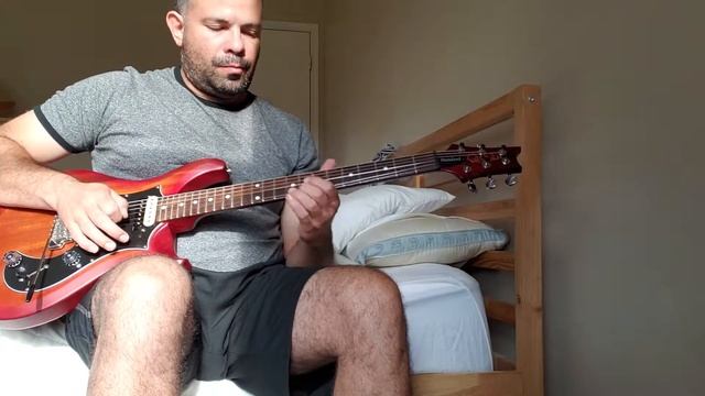PRS S2 Standard 24 - swap pickups? смотреть онлайн