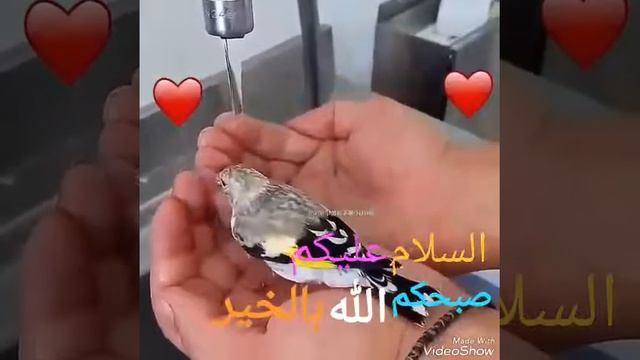 Allah Ou Ma Amin Y'a Rabi L'halamine J,aimi'halmouslimine Fi L'halamine ☝️