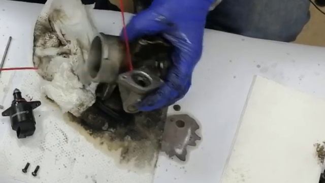 افضل طريقه لتنظيف بوابه شفورليه افيو смотреть онлайн