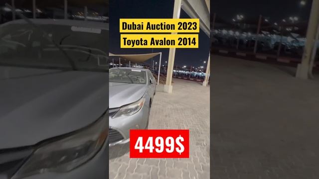 Dubai Auction 2023 - #Avalon 4499$-Model2014#dubai2023 #аукцион #autoauction #tashkent #baku #bakut смотреть онлайн