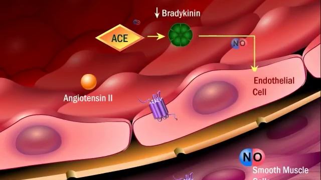 Renin Angiotensin Aldosterone System смотреть онлайн