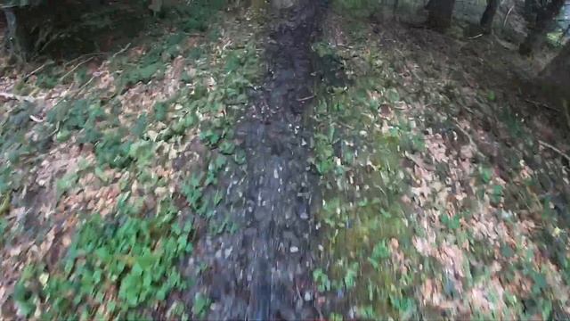 Downhill Rufiberg - Nicolai Argon GLF Pinion 2023 смотреть онлайн
