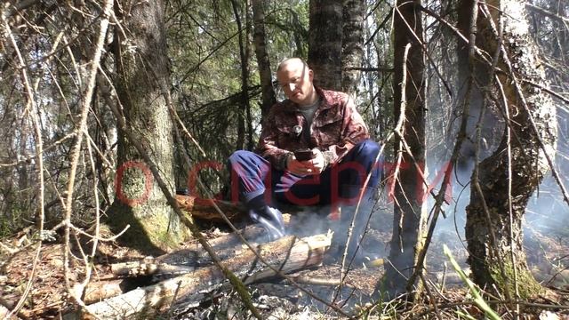 О рождении, смерти и смысле жизни