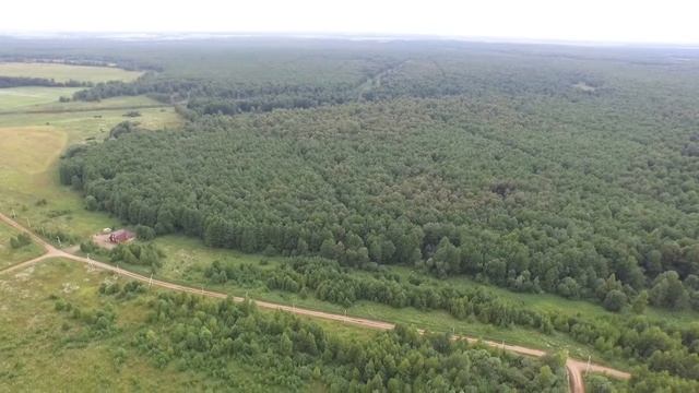 ТСН ДП Лесная капель v3 смотреть онлайн