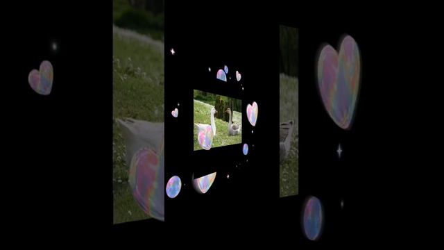 lv_0_20241222134325.mp4 смотреть онлайн