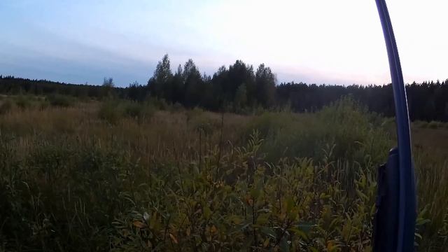 ОХОТА НА УТОК и встреча с ЛОСЕМ.