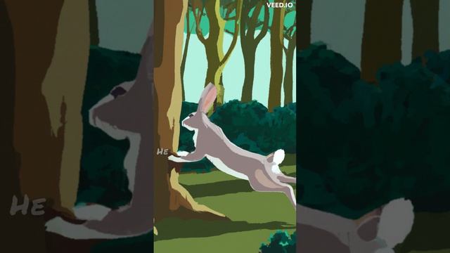 Story of rabbit and turtle смотреть онлайн