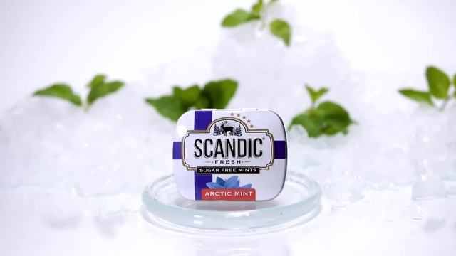 SCANDIC ARCTIC MINT