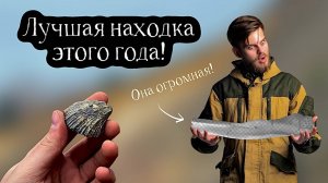 САМАЯ БОЛЬШАЯ кость ИХТИОЗАВРА - я искал ее пять лет! Поиск окаменелостей и ископаемых Мезозоя!