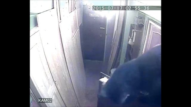 склонен к побегу! смотреть онлайн