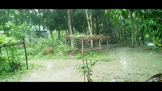 Our country is Bangladesh. Heavy rain sometimes damages many countries. смотреть онлайн