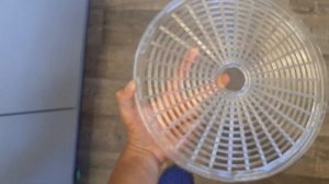 Сломанные поддоны на овощесушке