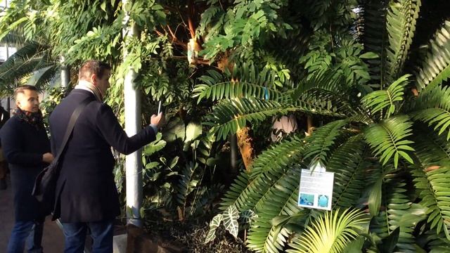 Glasgow in winter - Botanic Gardens & Kelvingrove Museum смотреть онлайн