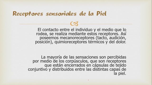 Funciones Piel 5- Clase Bien explicada смотреть онлайн