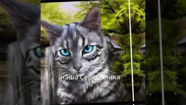 коты воители ваше/наше смотреть онлайн