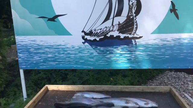 Рыбак на работе, поэтому комментарии аудио) смотреть онлайн