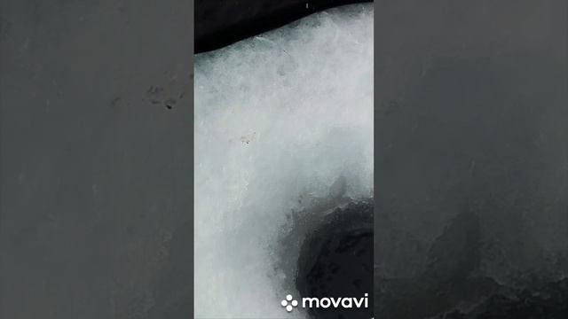 круто порыбачил на реке Катунь