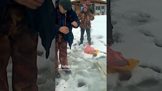 ПОПАЛАСЬ КРАСОТКА НА РЕЗИНУ❗ смотреть онлайн