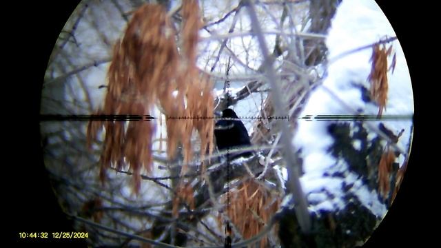 VL-100 SHERIFF \ One shot,one kill, No luck,just skill" \ CROWS HUNTING смотреть онлайн