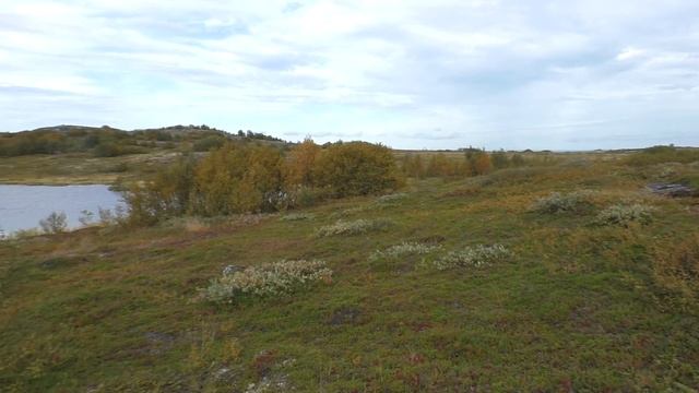 Нашел Древний Каменный Лабиринт. смотреть онлайн