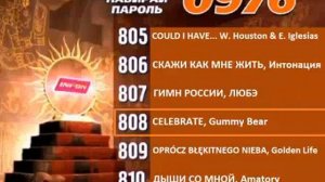 Реклама на BRIDGE TV 2012 (25/70)