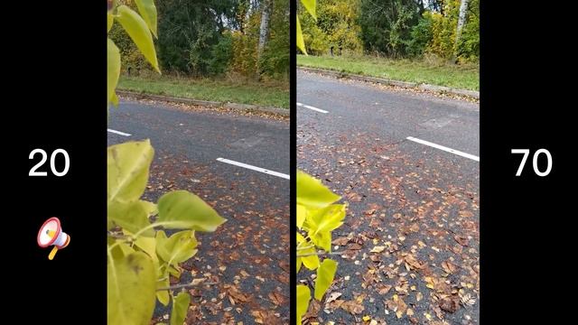 Honor 20 vs Honor 70. Сравнение камер. Camera test смотреть онлайн