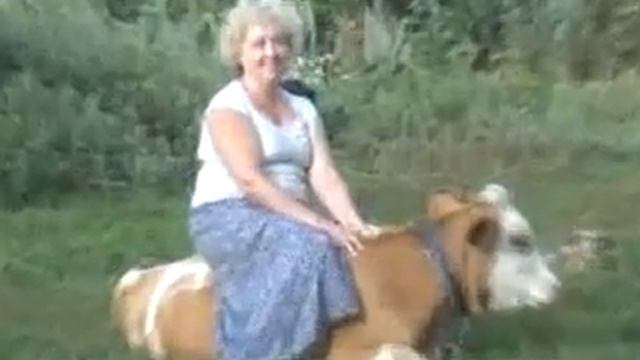 верхом на теленке смотреть онлайн