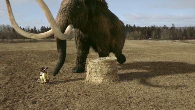 Dino Dana | Follow The Mammoth | Episode Promo | Michela Luci, Saara Chaudry, Nicola Correia-Damude