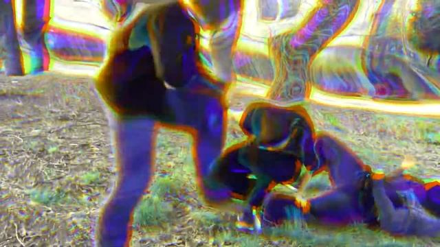 Цыганский трип смотреть онлайн