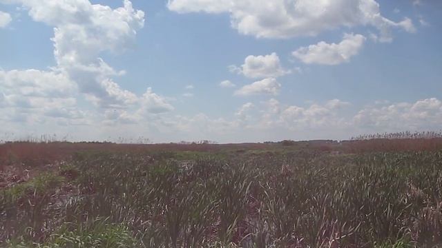 в салоне дефа.avi смотреть онлайн