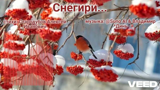 Снегири... Remix [Russian Chanson,  Surf- Rock]