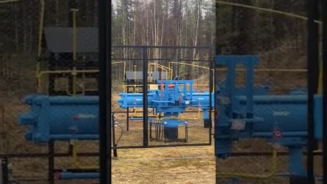 Медведь в Сосновке. ХМАО. смотреть онлайн