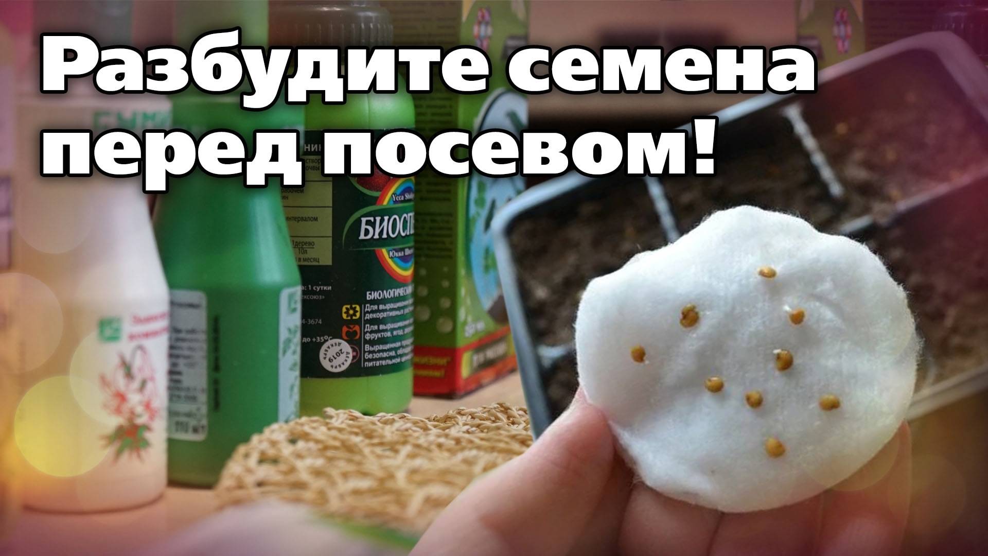 Препараты для обработки семян перед посевом. От болезней и для стимуляции смотреть онлайн
