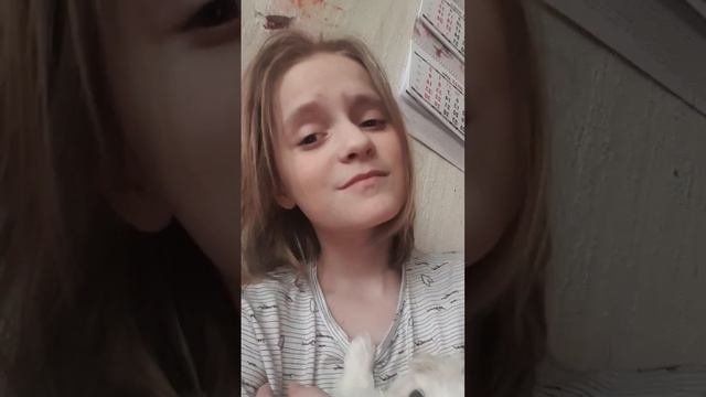 привет я Мия #собака #песня