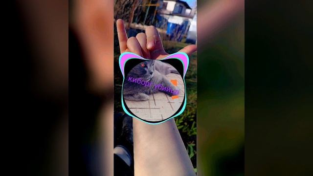 ТРЕК ДЛЯ САБА (ДЛЯ МОЩНЫХ КАЛОНОК)ОБРАБОТКА ОТ МАТРИКСА,❤️