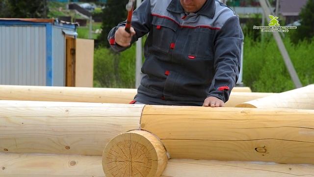 Сборка дома из оцилиндрованного бревна. Сямженский лес. смотреть онлайн