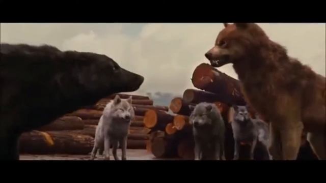 Selena Gomez,Marshmello-Wolves смотреть онлайн