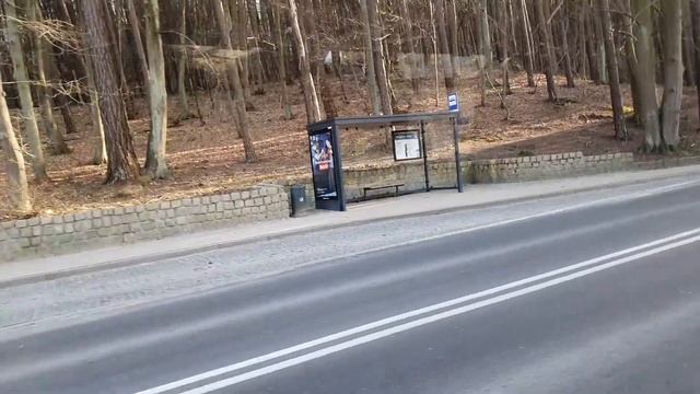 Поездка На Пригородном Троллейбусе + Лесная Трасса смотреть онлайн