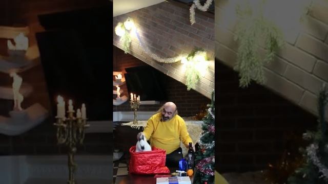 Новый год Сергей Петросов 2023 смотреть онлайн