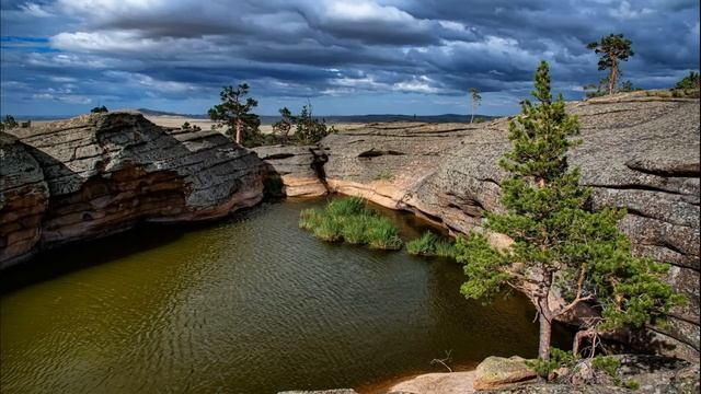 - Совести у тебя нет, мы ждем пополнение, а ты не хочешь родительскую квартиру нам отдать смотреть онлайн