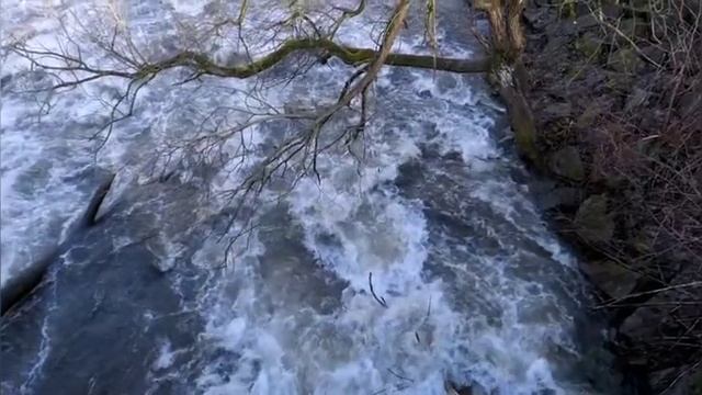 Coal and petroleum|| Assamese medium|| Class 8||By Parismita смотреть онлайн