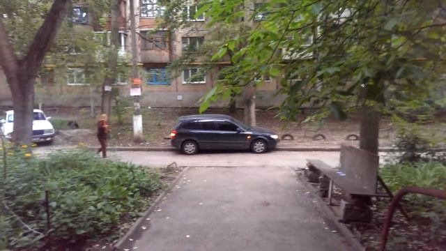 Кошка против собаки! Cat Vs Dog