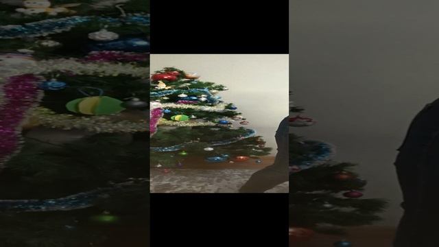 1000110667.mp4пуховые изделия у Ольги.т.89020931602 смотреть онлайн