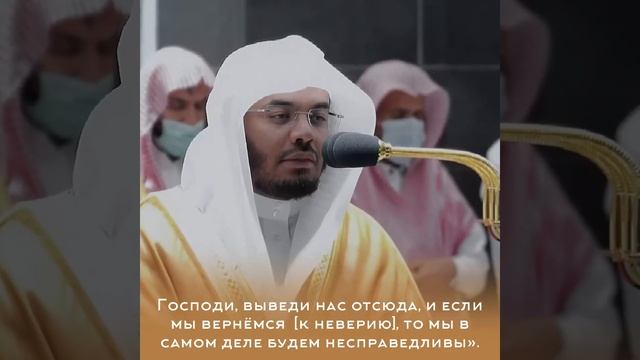 Ясир ад-Даусари смотреть онлайн