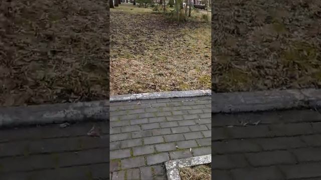 улица в реальности номер 5 смотреть онлайн